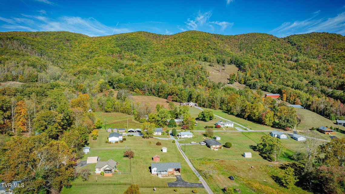 Photo #28: 185 Banjo Drive