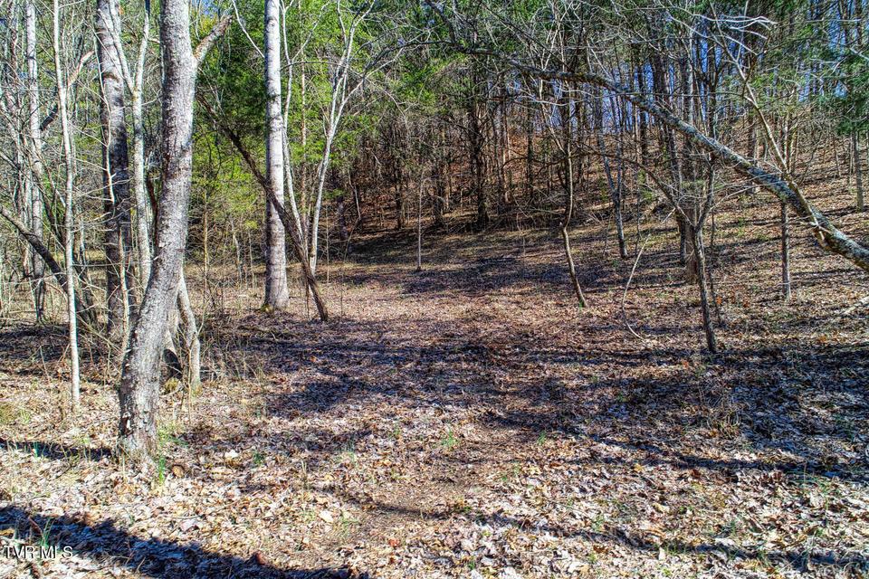 Photo #7: Tbd Devils Nose Road