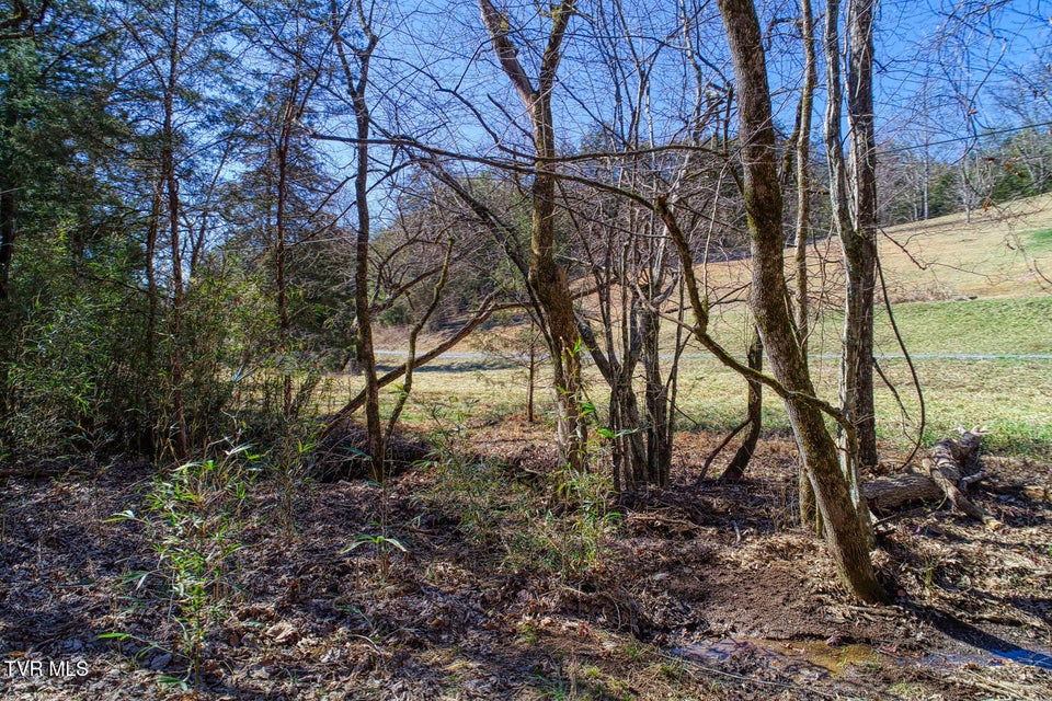 Photo #9: Tbd Devils Nose Road