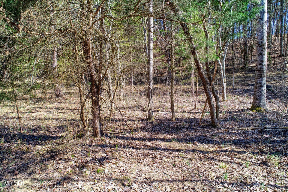 Photo #11: Tbd Devils Nose Road