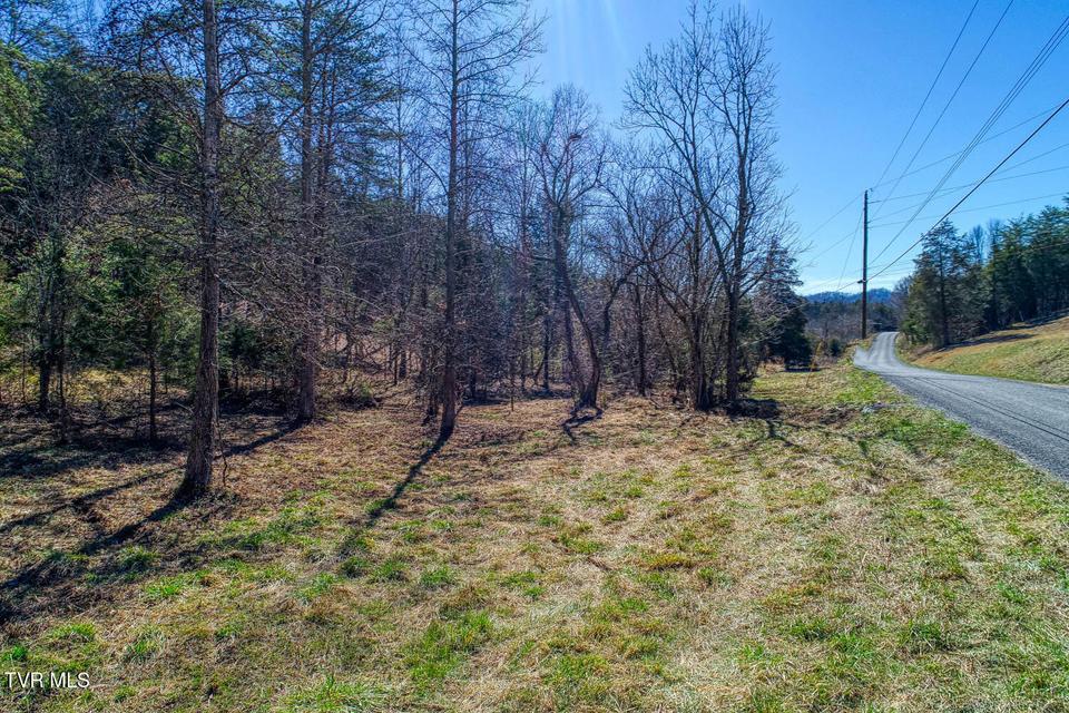 Photo #12: Tbd Devils Nose Road