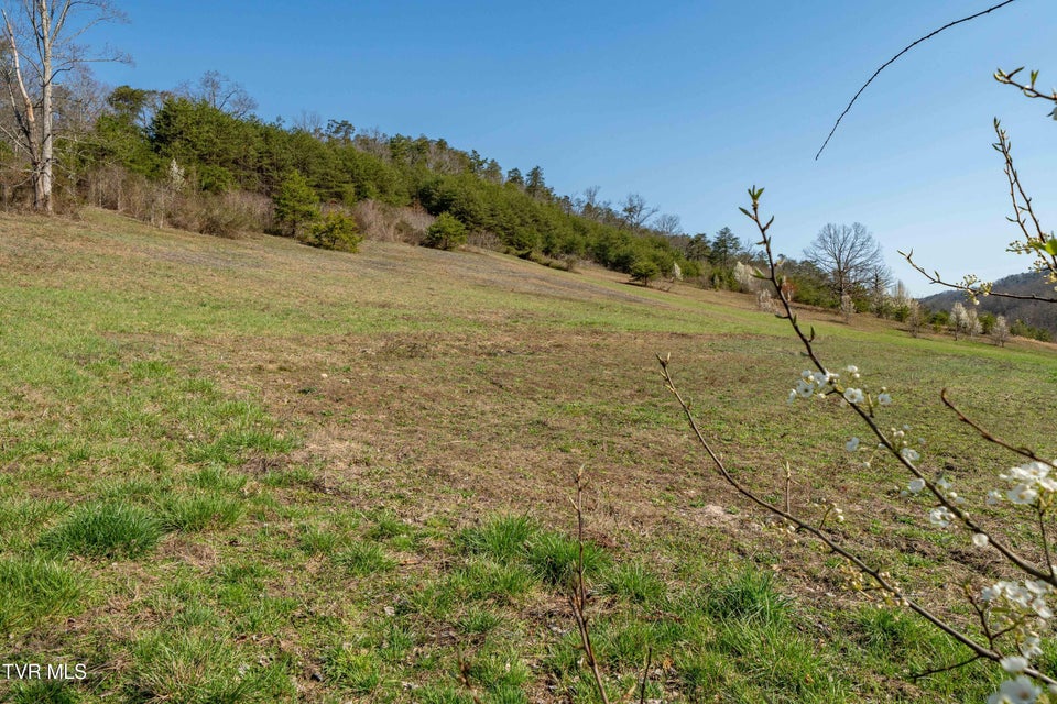 Photo #27: 3546 Goshen Valley Road