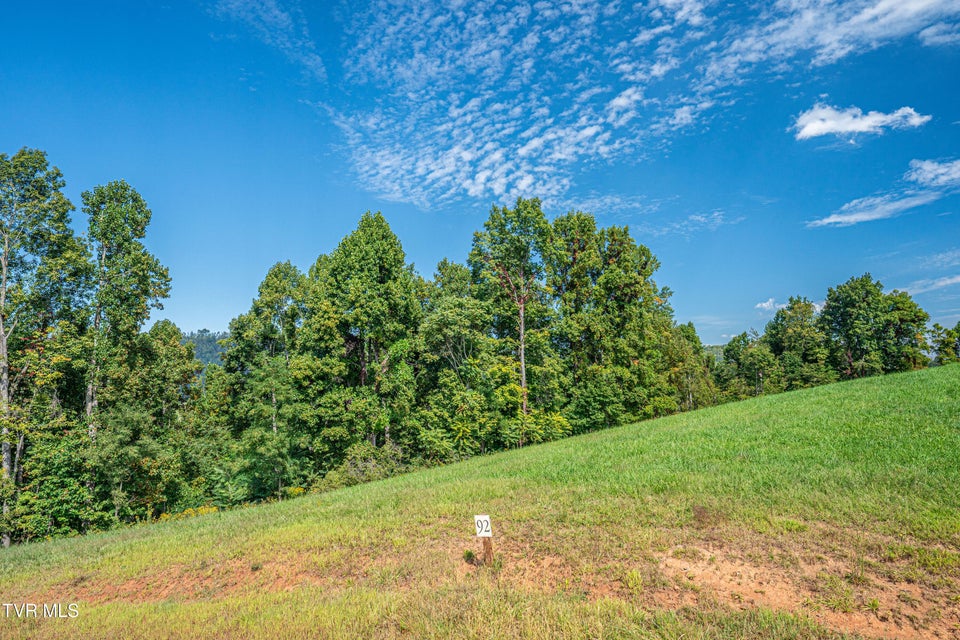 Photo #7: 92 Tester Trail 