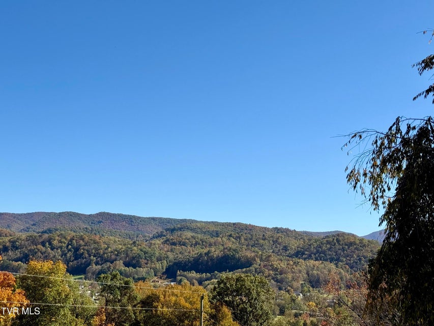 Photo #40: 120 Scott Lane