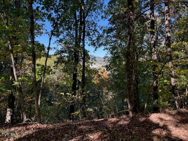 Photo #15: Tbd Clifton Road