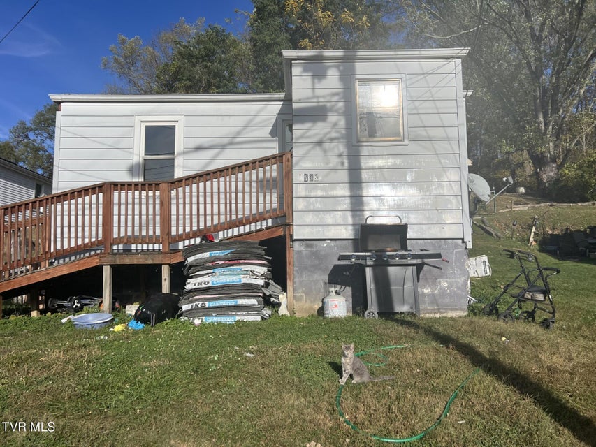 Photo #14: 703 Iron Street