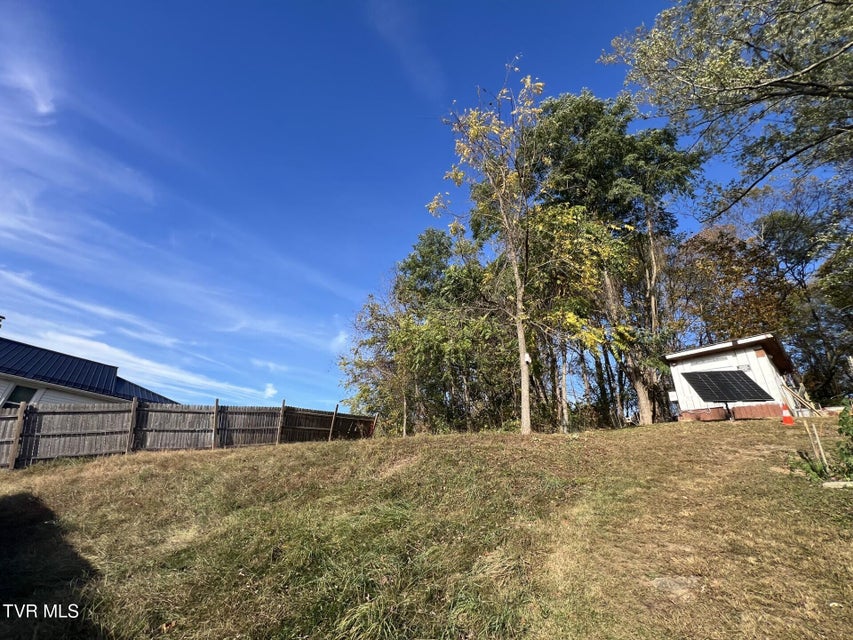 Photo #10: 703 Iron Street