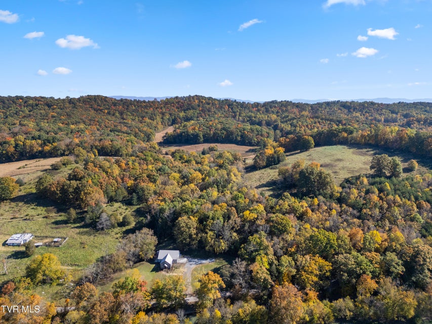 Photo #43: 1370 Iron Bridge Road