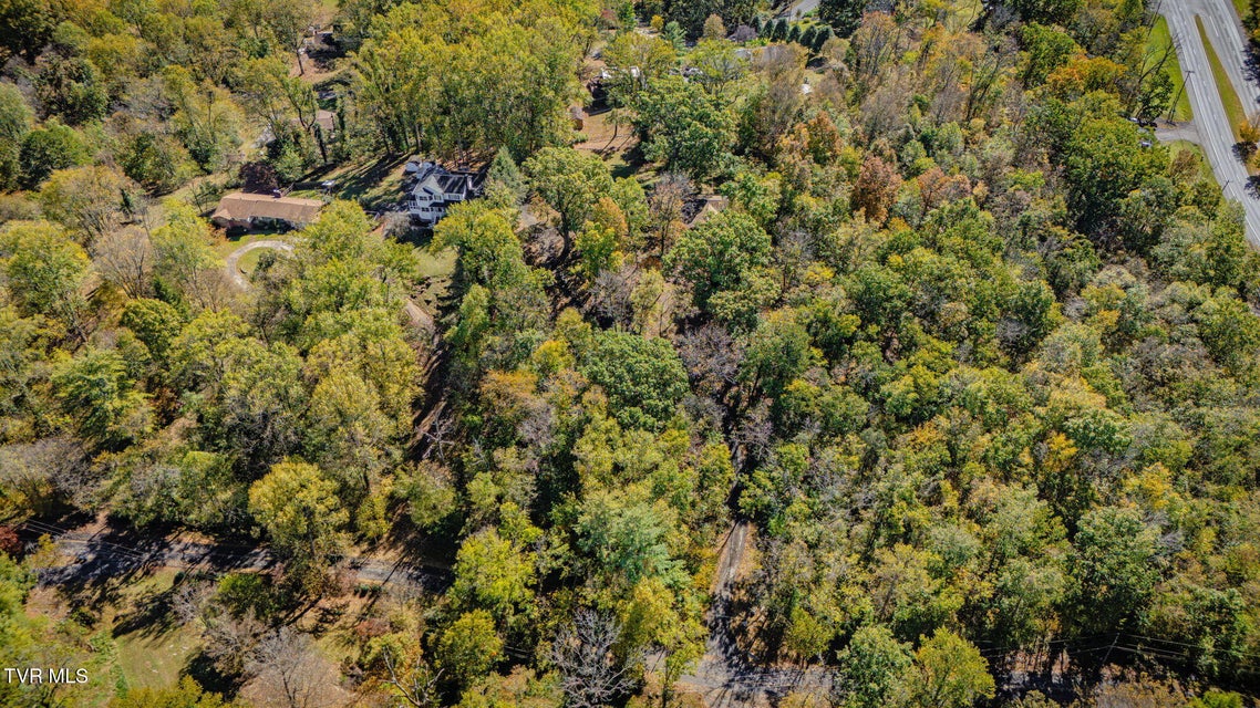 Photo #42: 141 Otari Drive