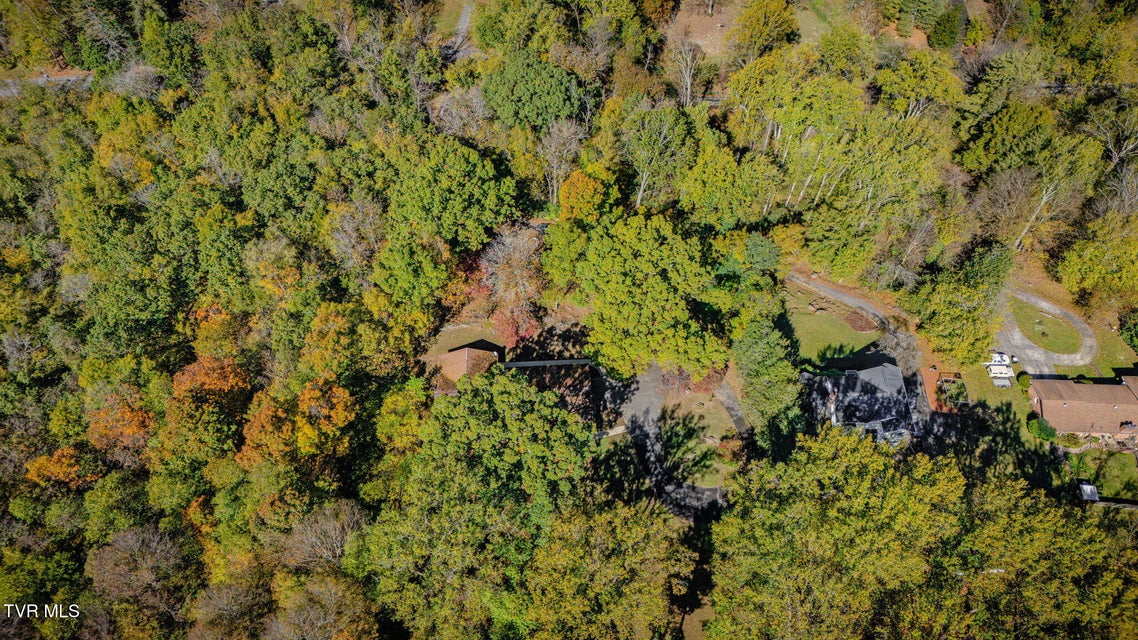 Photo #44: 141 Otari Drive