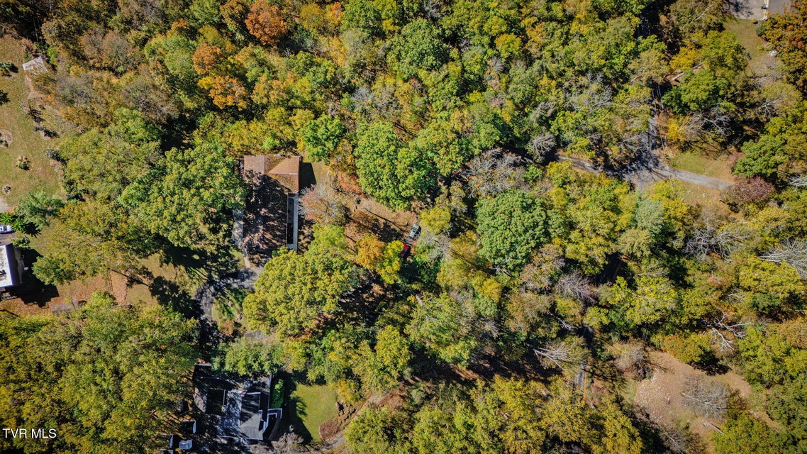 Photo #46: 141 Otari Drive