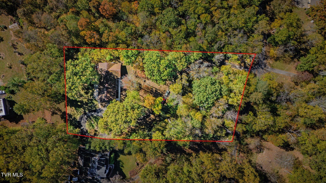 Photo #41: 141 Otari Drive