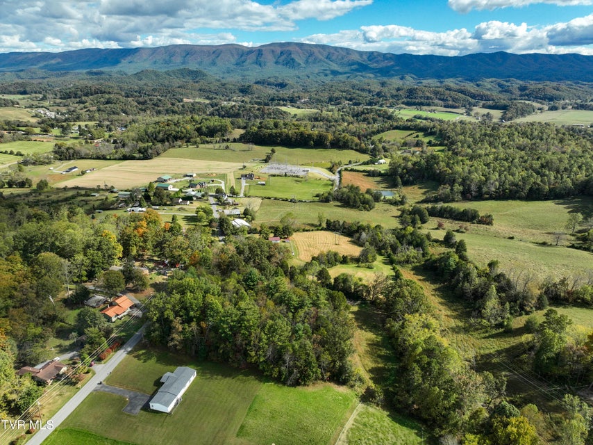 Photo #19: 1476 Silver Grove Road