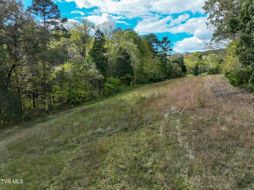 Photo #7: 1476 Silver Grove Road