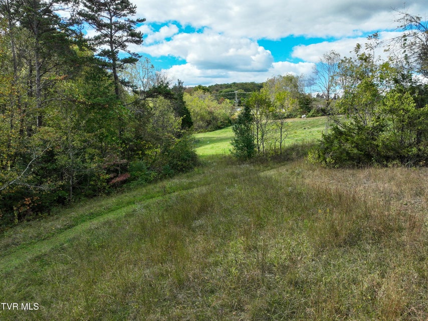 Photo #5: 1476 Silver Grove Road