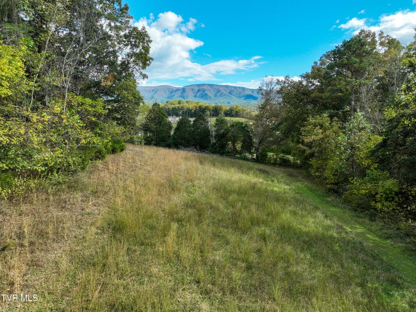 Photo #4: 1476 Silver Grove Road