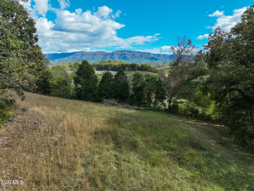 Photo #3: 1476 Silver Grove Road