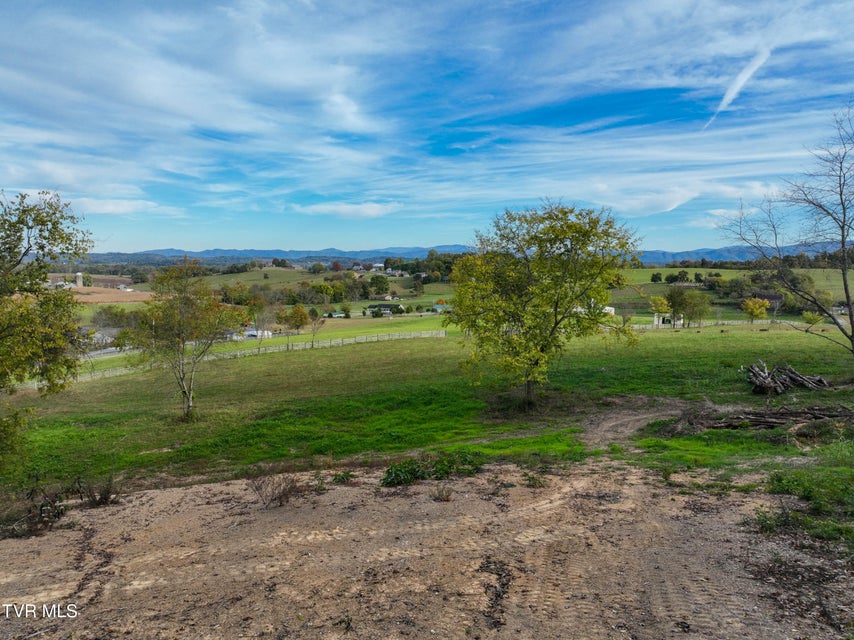 Photo #52: 259 C D Williams Road