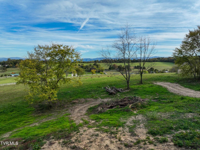Photo #53: 259 C D Williams Road