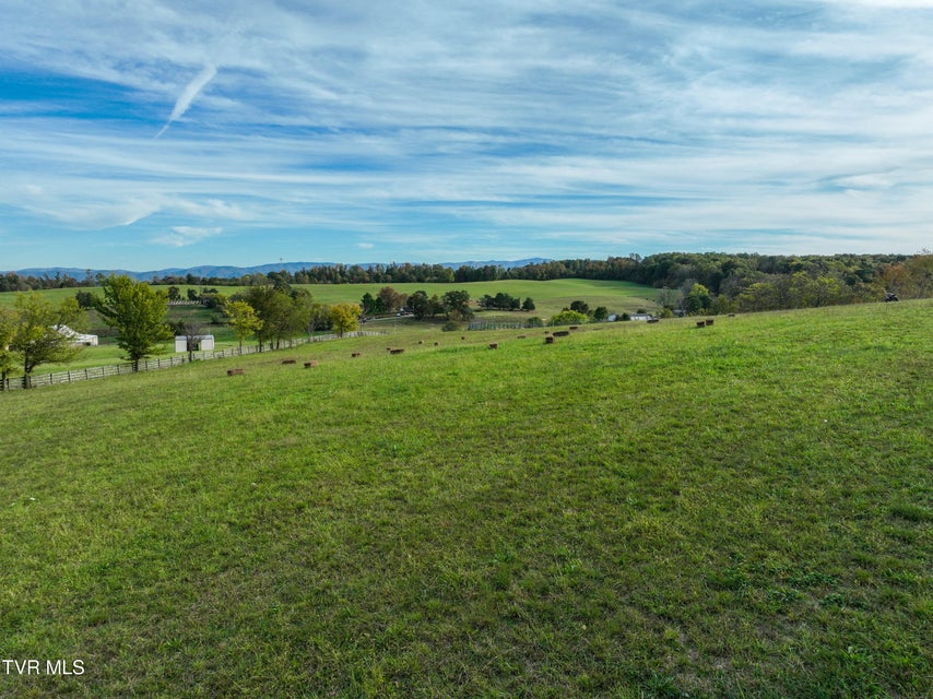Photo #54: 259 C D Williams Road
