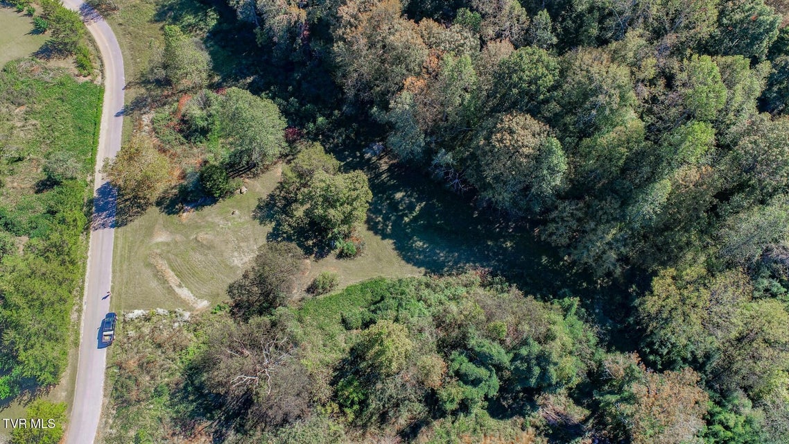 Photo #5: 2409 Perilla Dr 