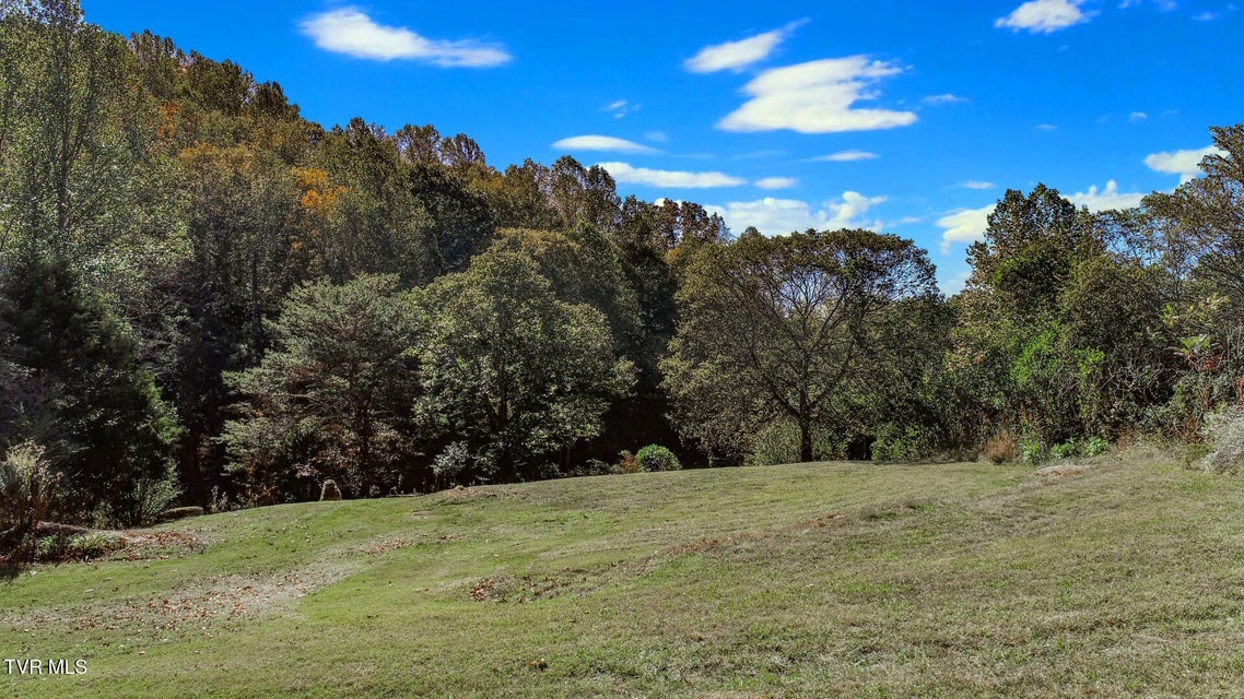 Photo #13: 2409 Perilla Dr 