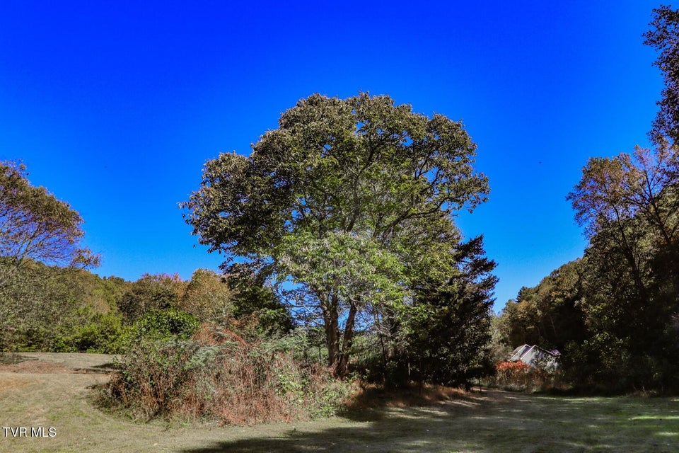 Photo #25: 2409 Perilla Dr 