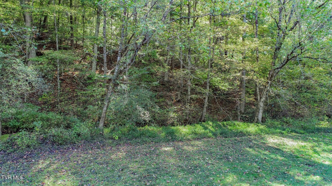 Photo #36: 2409 Perilla Dr 