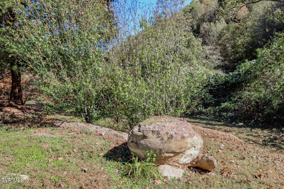 Photo #39: 2409 Perilla Dr 