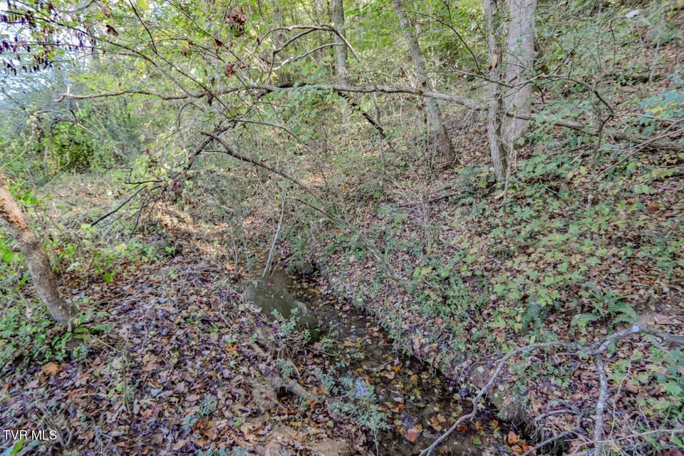 Photo #40: 2409 Perilla Dr 