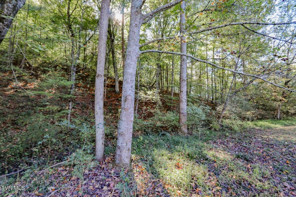 Photo #42: 2409 Perilla Dr 