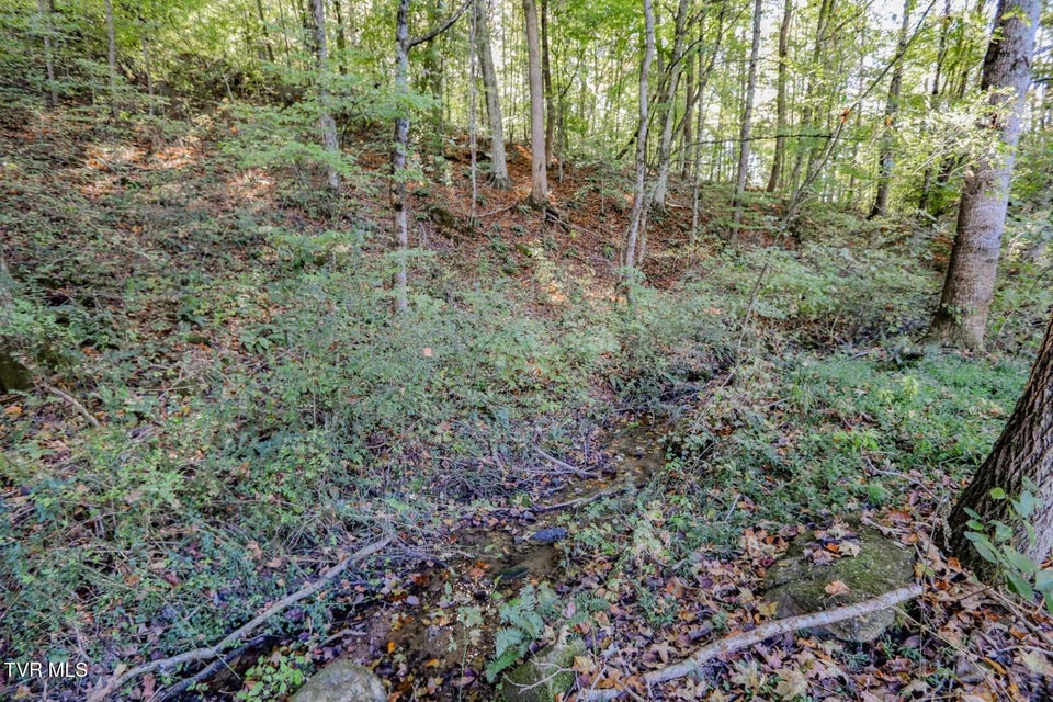 Photo #43: 2409 Perilla Dr 