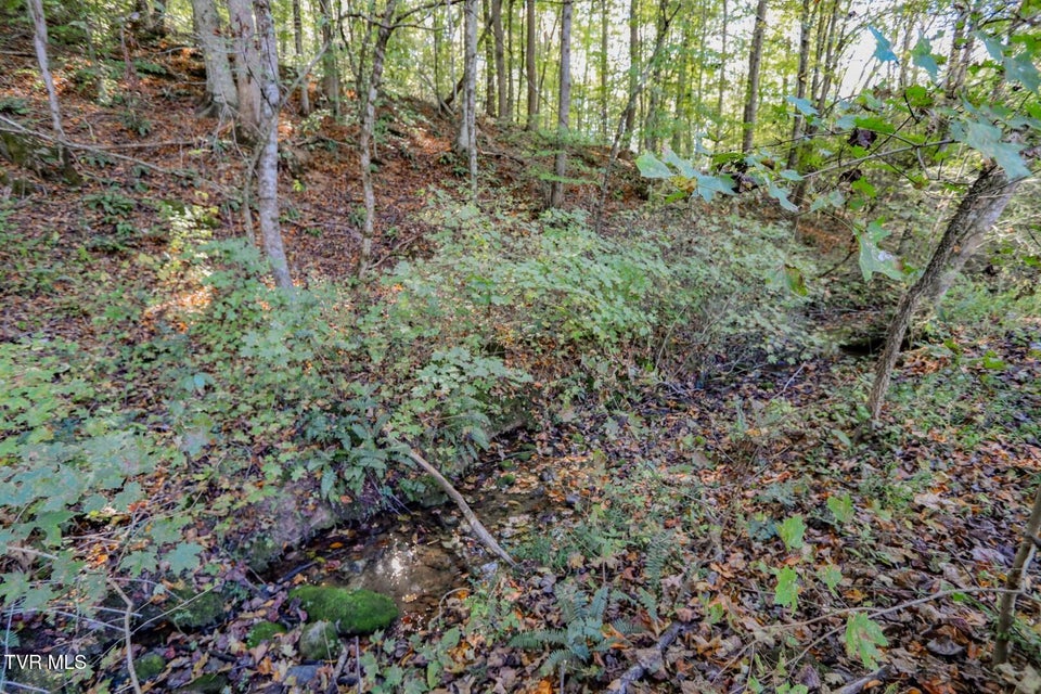 Photo #46: 2409 Perilla Dr 