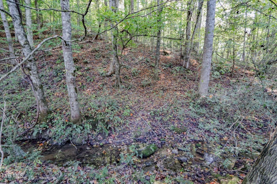 Photo #47: 2409 Perilla Dr 