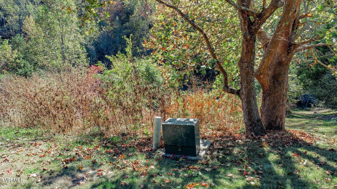 Photo #49: 2409 Perilla Dr 