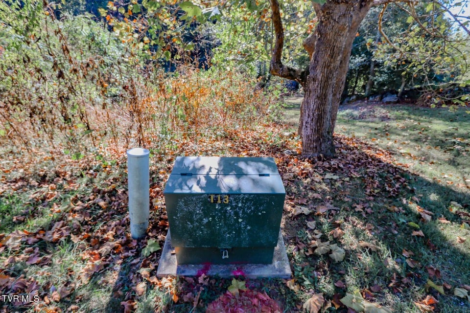 Photo #50: 2409 Perilla Dr 