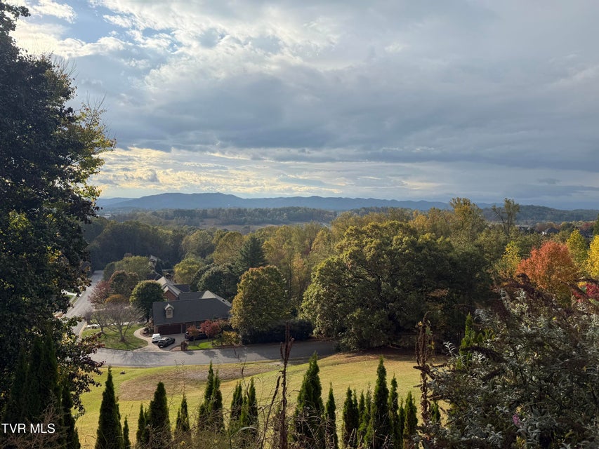 Photo #7: 000 Stoneridge Drive