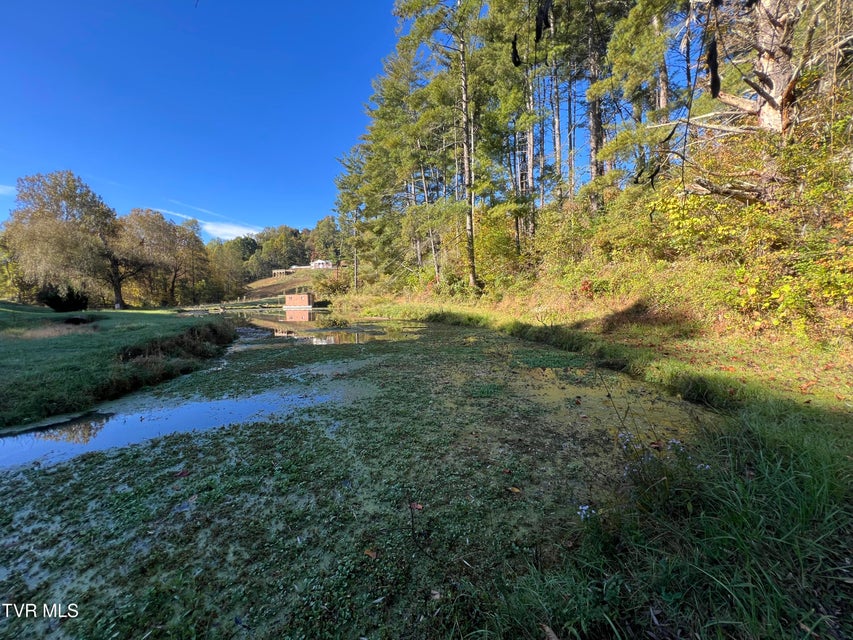 Photo #37: 255 Central Heights Road