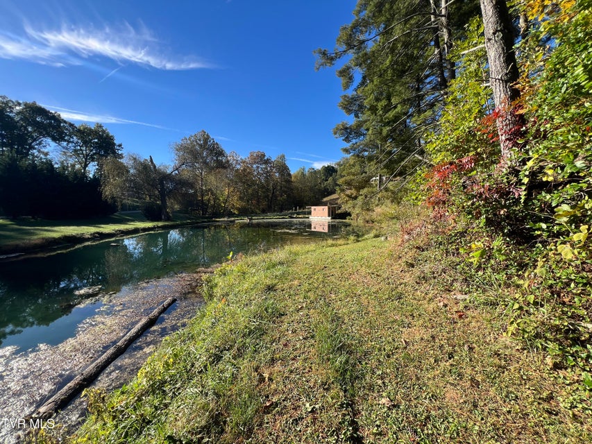 Photo #38: 255 Central Heights Road