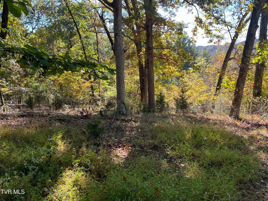 Photo #55: 255 Central Heights Road