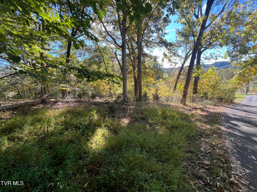 Photo #56: 255 Central Heights Road