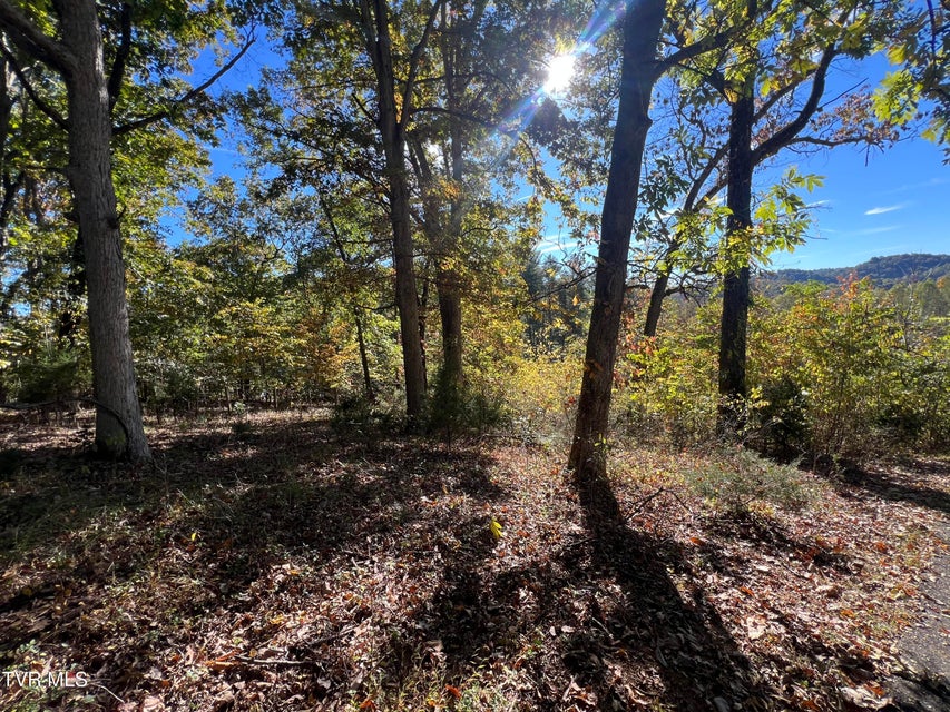 Photo #57: 255 Central Heights Road