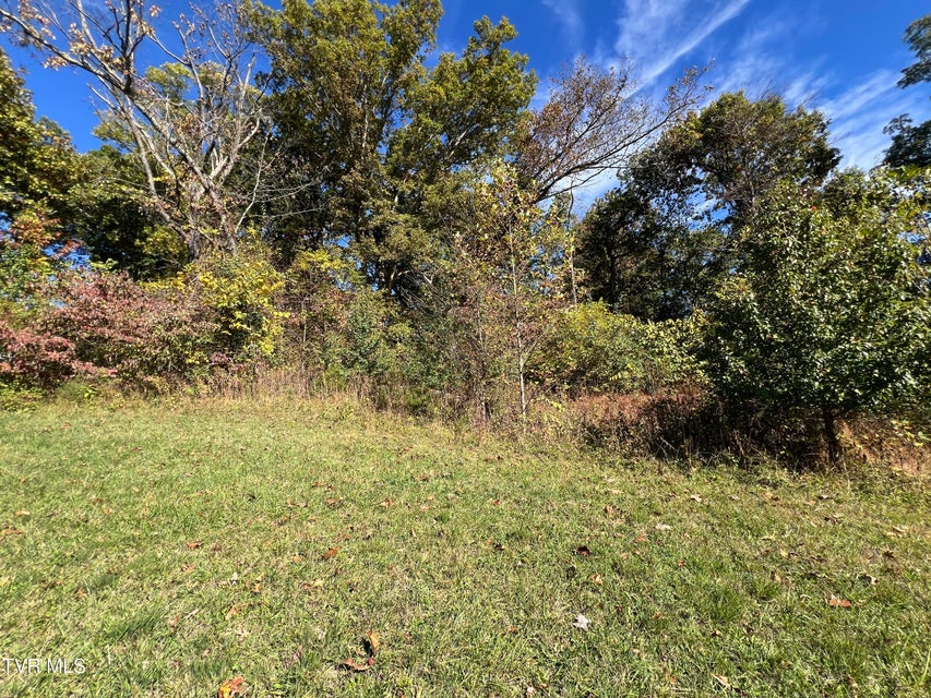 Photo #54: 255 Central Heights Road