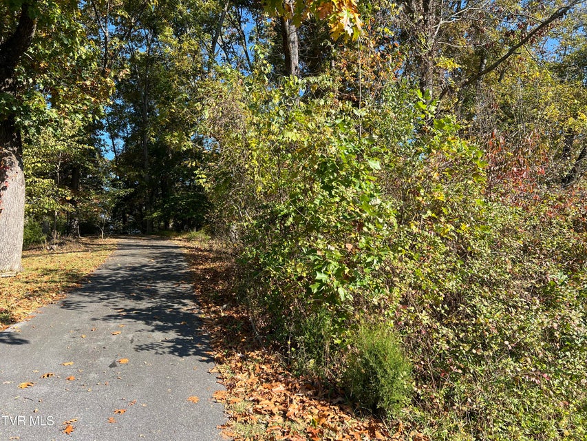 Photo #50: 255 Central Heights Road