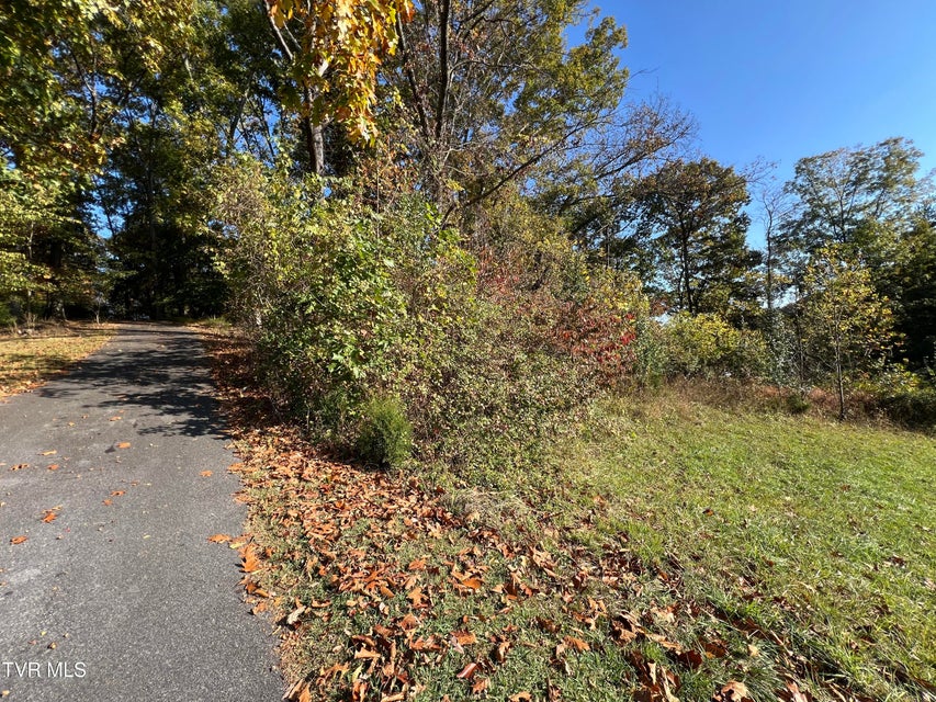 Photo #51: 255 Central Heights Road