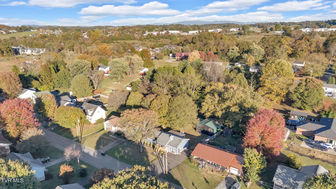 Photo #37: 116 Springview Drive