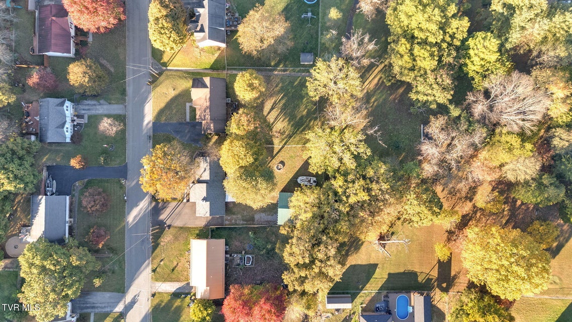 Photo #36: 116 Springview Drive