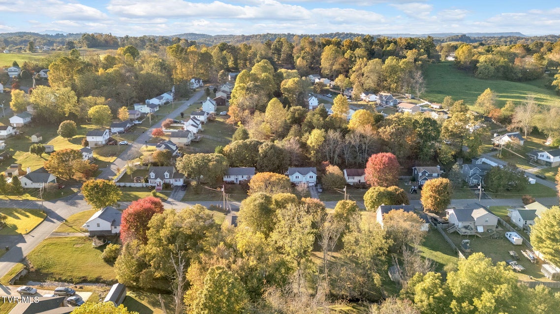 Photo #39: 116 Springview Drive