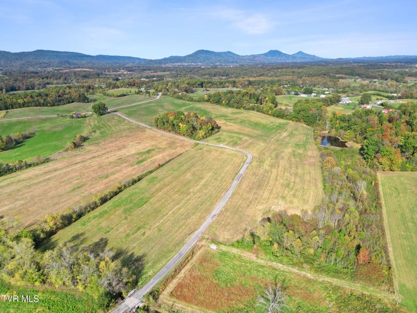 Photo #5: Lot 1 Billy Bible Road