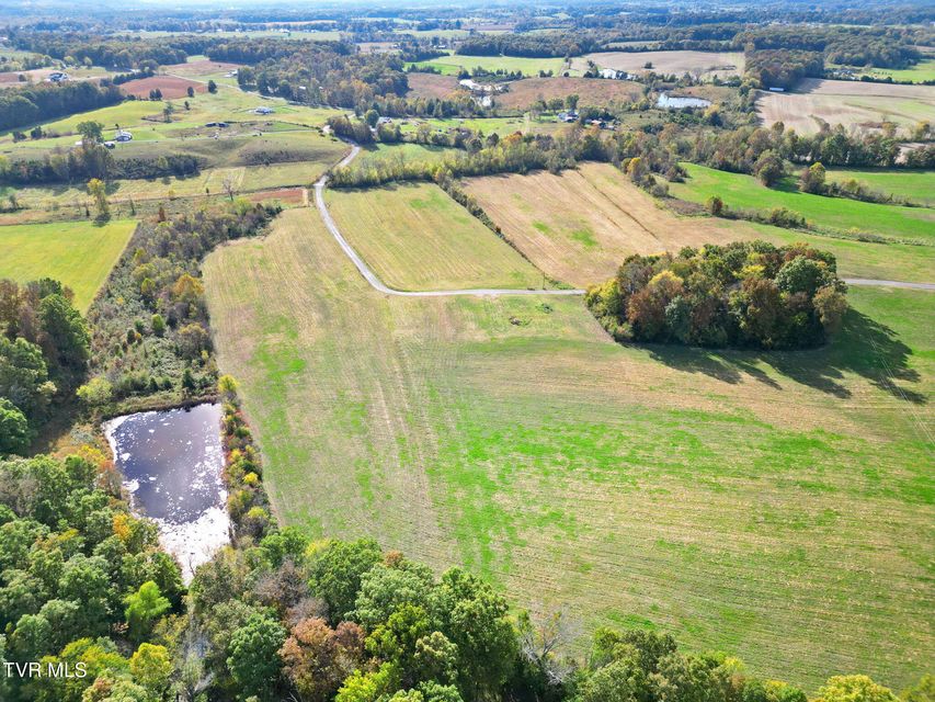 Photo #3: Lot 2 Billy Bible Road